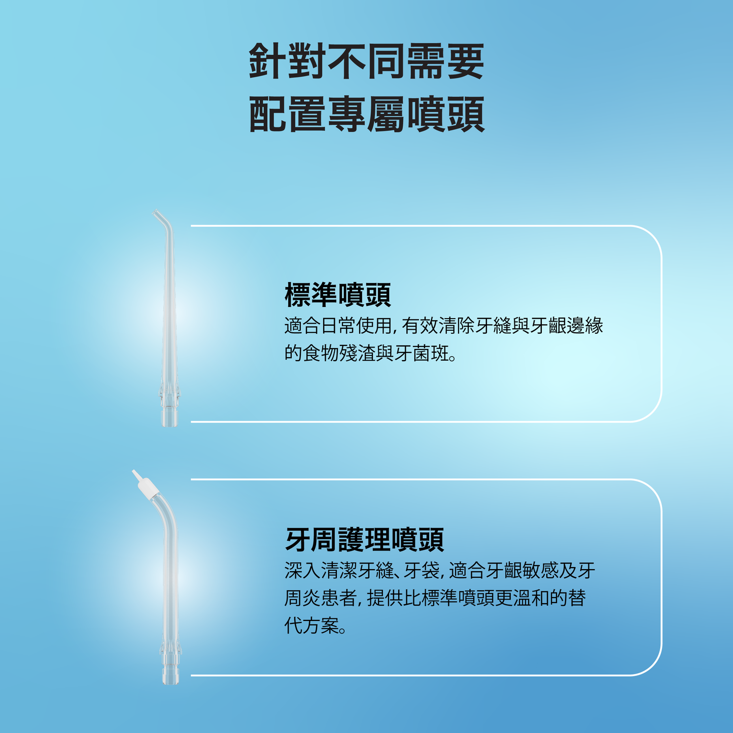 Waterflosser Go 替換噴頭 (2件裝)