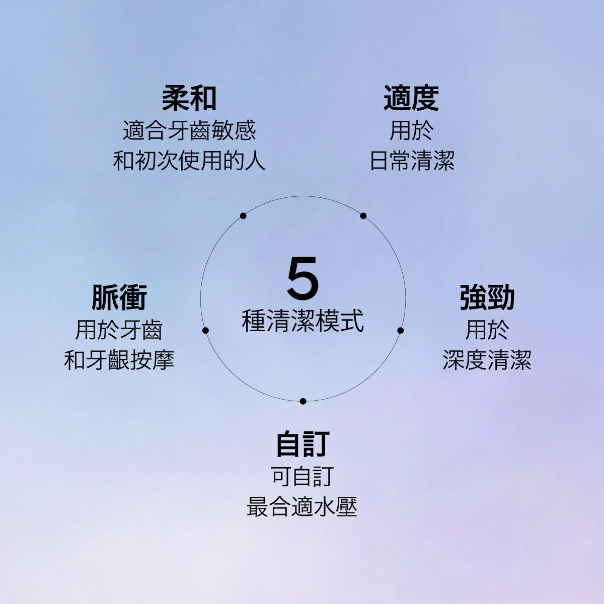 Waterflosser Pro 專業水牙線機