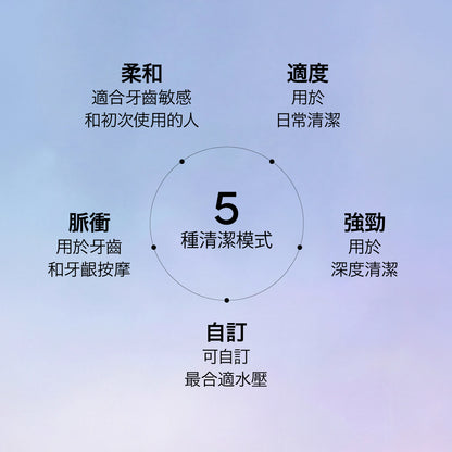 Waterflosser Pro 專業水牙線機