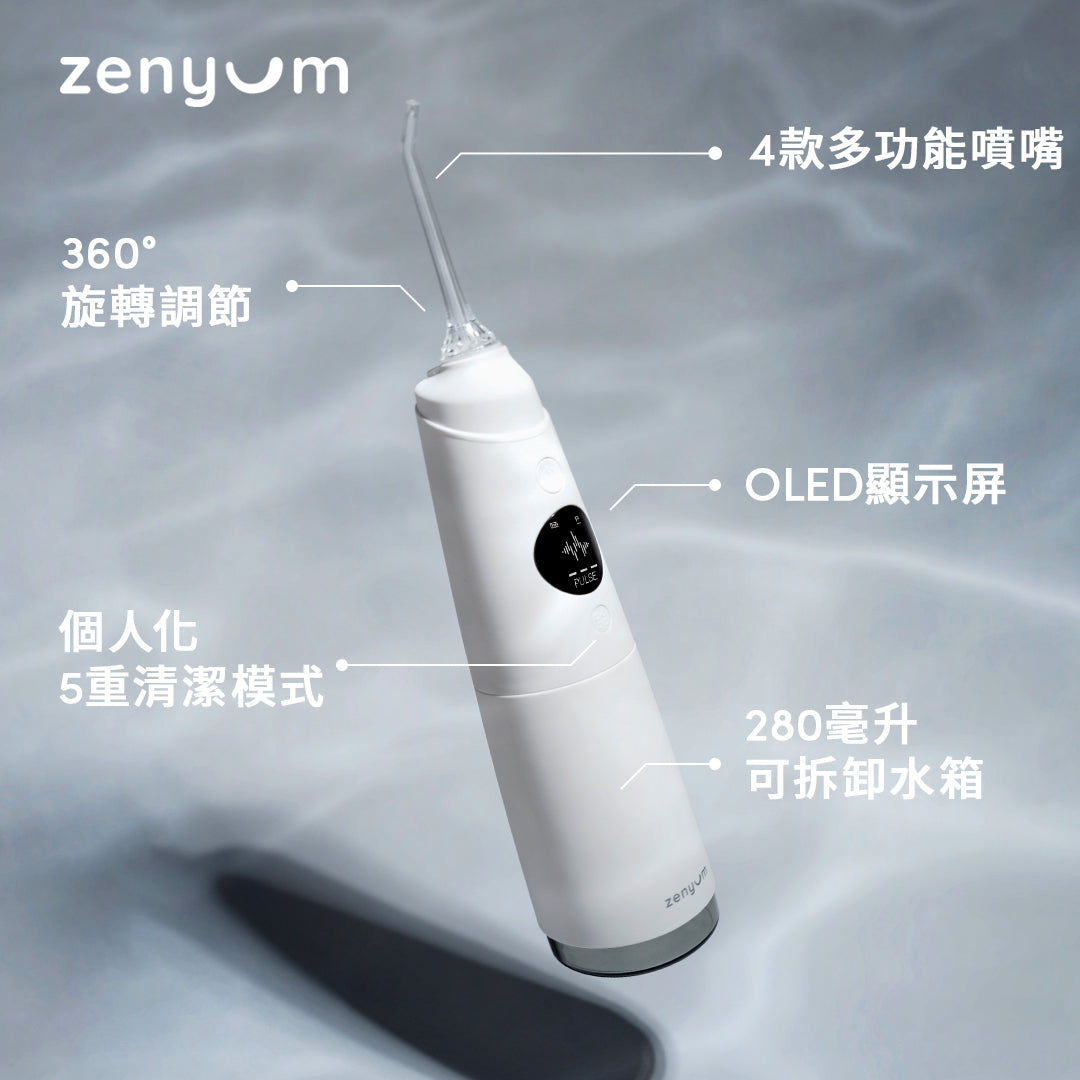 Waterflosser Pro 專業水牙線機 + 4 件噴嘴替換裝