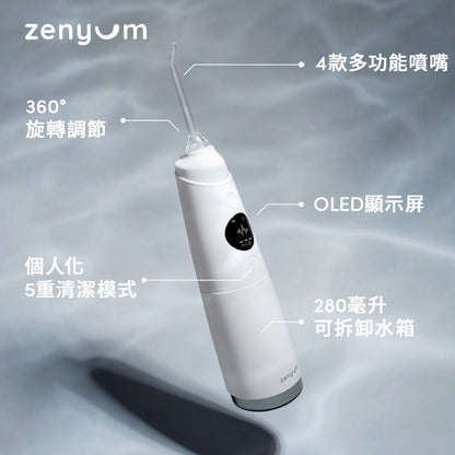 Waterflosser Pro 專業水牙線機 + 4 件噴嘴替換裝